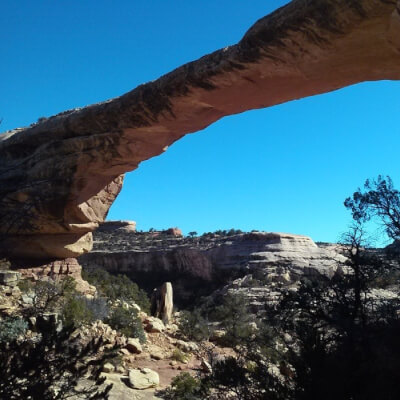 Marivoet, Lu Lu Marivoet